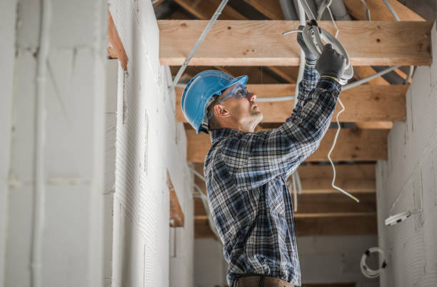 Best Ceiling Fan Installation Electrician  in Newaygo, MI