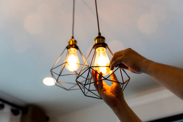 Best Electric Panel Repair  in Newaygo, MI