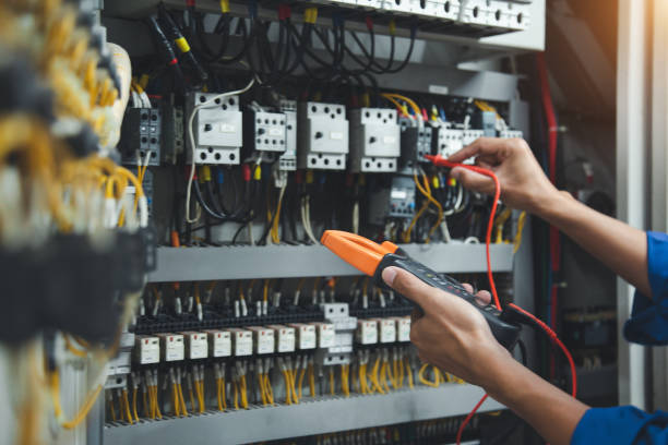 Best 24-Hour Electrician  in Newaygo, MI
