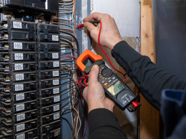 Best Electrical Rewiring Services  in Newaygo, MI