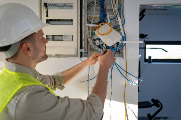 Best Residential Electrician Services  in Newaygo, MI
