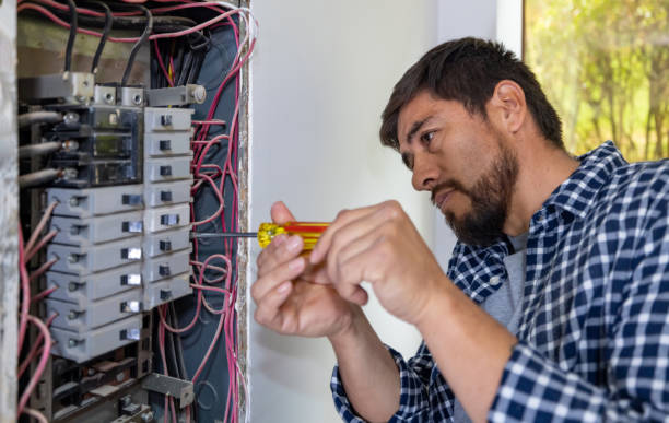 Best Affordable Electrical Installation  in Newaygo, MI
